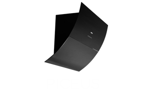 PICEUS